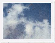 2006-03-05_15-02-35_Carnaval_130,0mm_F6,3_1_1000_eme_DiMAGE A2 * 2560 x 1920 * (2.07MB)